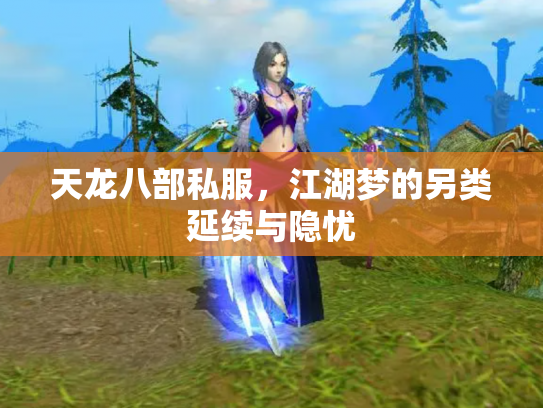 天龙八部私服，江湖梦的另类延续与隐忧