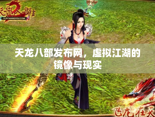 天龙八部发布网，虚拟江湖的镜像与现实