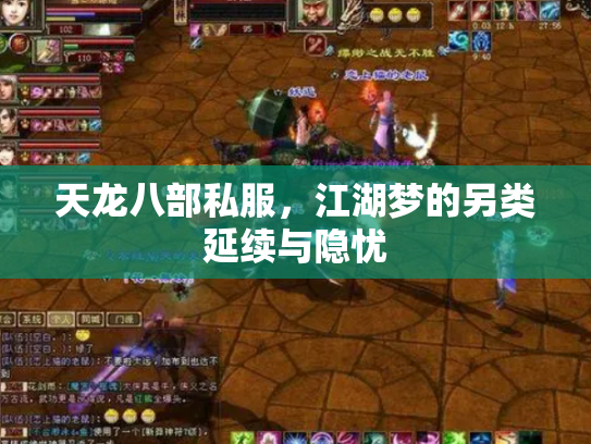 天龙八部私服，江湖梦的另类延续与隐忧