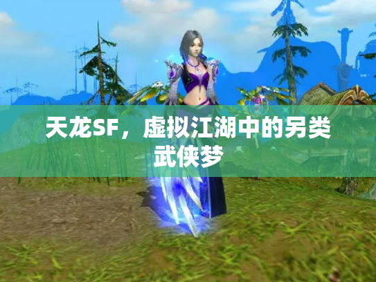天龙SF，虚拟江湖中的另类武侠梦