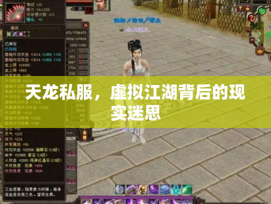 天龙私服，虚拟江湖背后的现实迷思
