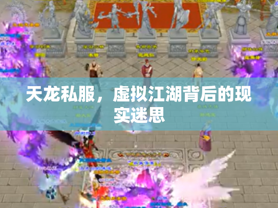 天龙私服，虚拟江湖背后的现实迷思