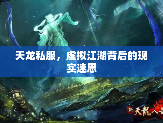 天龙私服，虚拟江湖背后的现实迷思