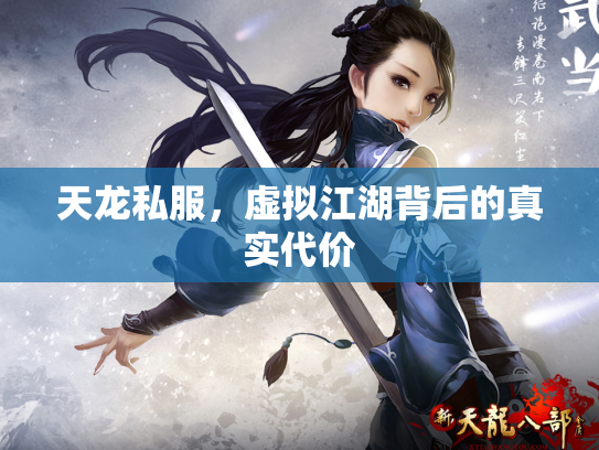 天龙私服，虚拟江湖背后的真实代价