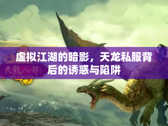 虚拟江湖的暗影，天龙私服背后的诱惑与陷阱