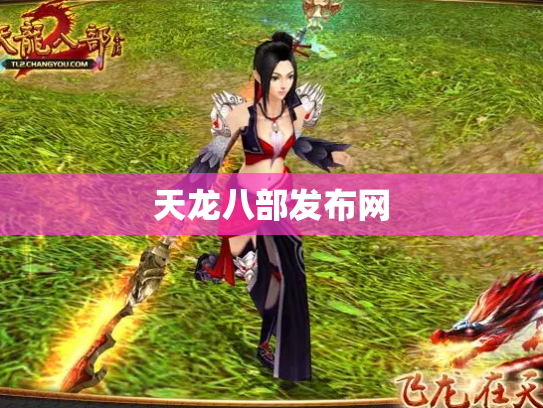 天龙八部发布网