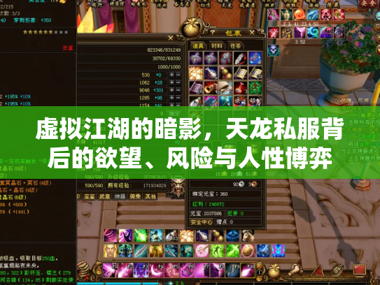 虚拟江湖的暗影，天龙私服背后的欲望、风险与人性博弈