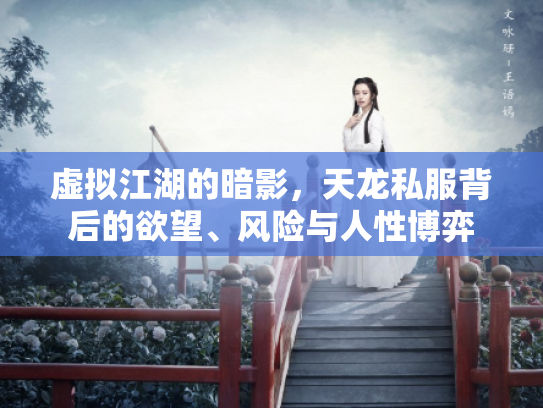 虚拟江湖的暗影，天龙私服背后的欲望、风险与人性博弈
