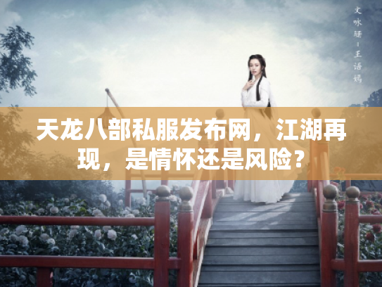 天龙八部私服发布网，江湖再现，是情怀还是风险？
