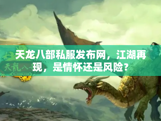 天龙八部私服发布网，江湖再现，是情怀还是风险？
