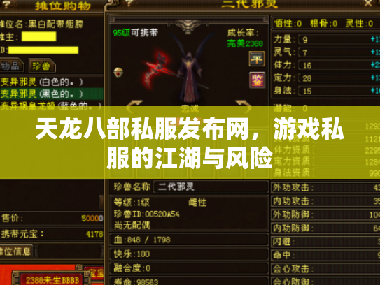 天龙八部私服发布网，游戏私服的江湖与风险