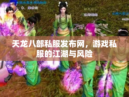 天龙八部私服发布网，游戏私服的江湖与风险