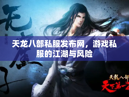 天龙八部私服发布网，游戏私服的江湖与风险
