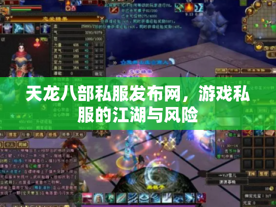 天龙八部私服发布网，游戏私服的江湖与风险