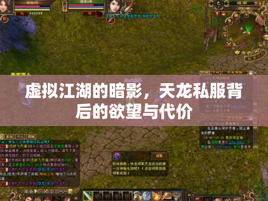 虚拟江湖的暗影，天龙私服背后的欲望与代价
