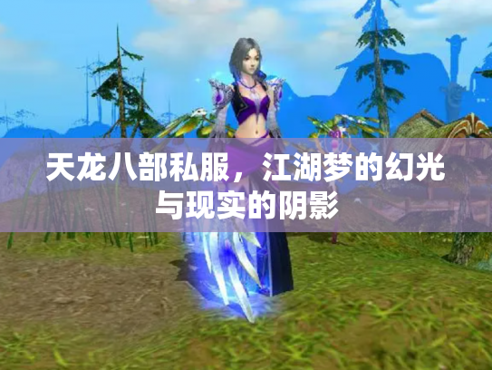 天龙八部私服，江湖梦的幻光与现实的阴影