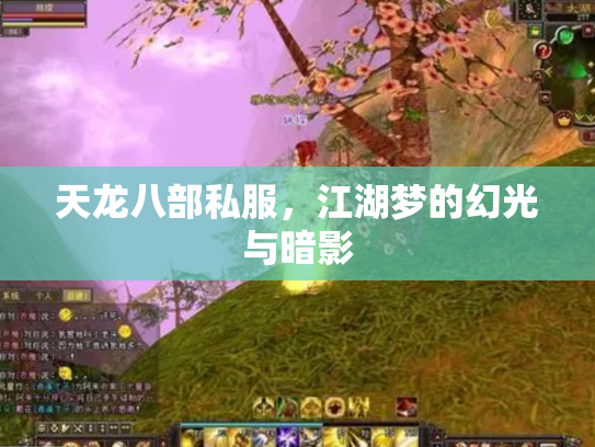 天龙八部私服，江湖梦的幻光与暗影