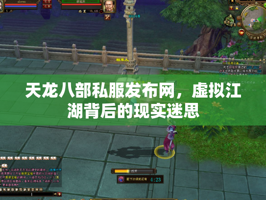 天龙八部私服发布网，虚拟江湖背后的现实迷思
