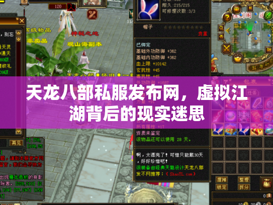 天龙八部私服发布网，虚拟江湖背后的现实迷思