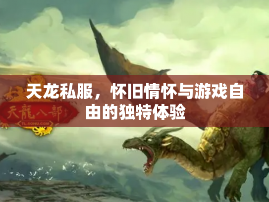 天龙私服，怀旧情怀与游戏自由的独特体验