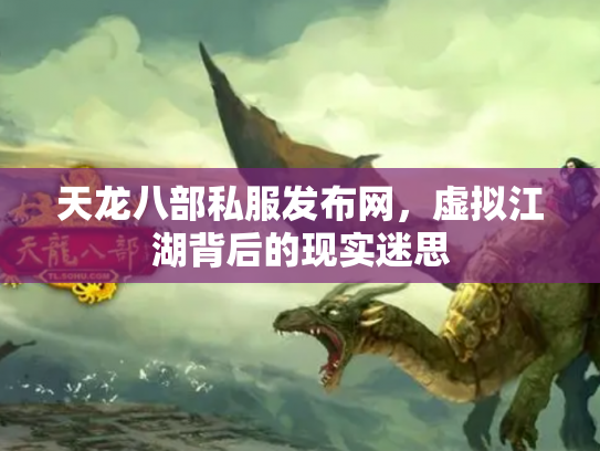 天龙八部私服发布网，虚拟江湖背后的现实迷思