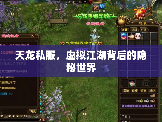 天龙私服，虚拟江湖背后的隐秘世界