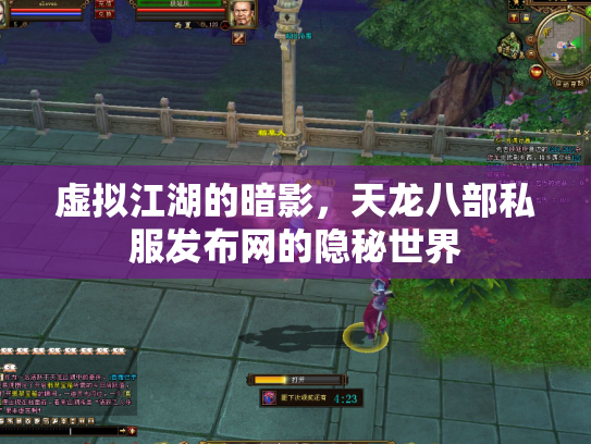 虚拟江湖的暗影，天龙八部私服发布网的隐秘世界