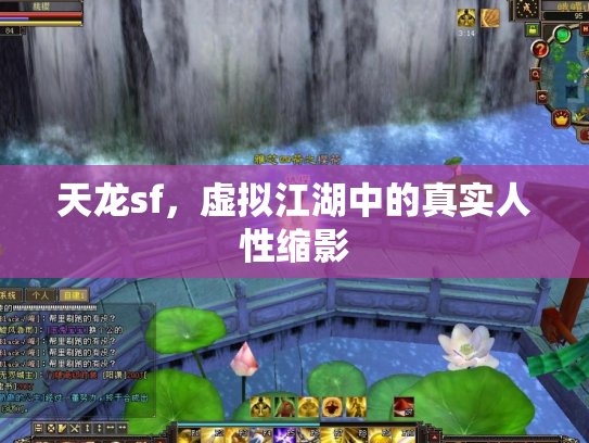 天龙sf，虚拟江湖中的真实人性缩影