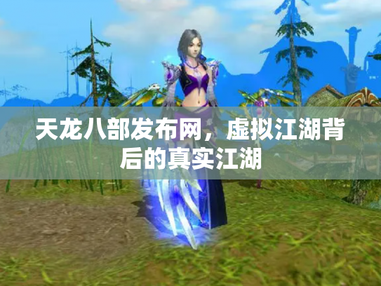天龙八部发布网，虚拟江湖背后的真实江湖