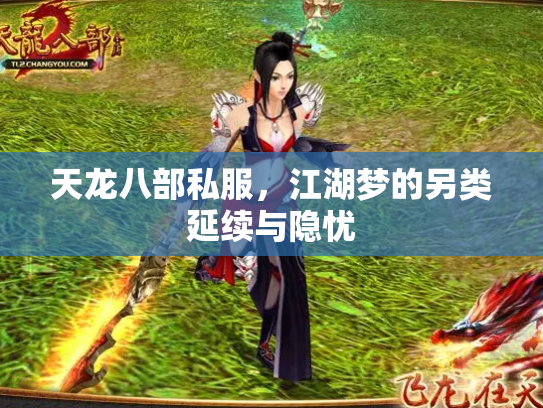 天龙八部私服，江湖梦的另类延续与隐忧