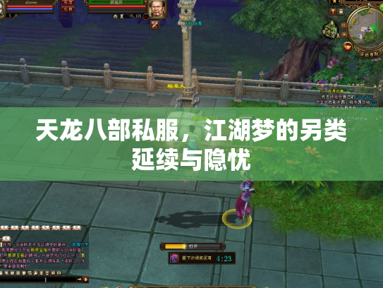天龙八部私服，江湖梦的另类延续与隐忧