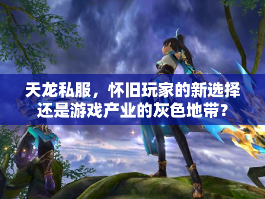 天龙私服，怀旧玩家的新选择还是游戏产业的灰色地带？