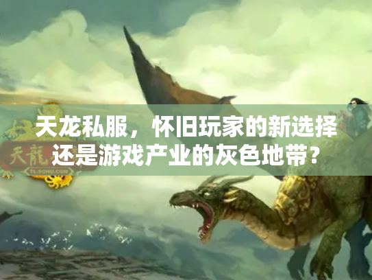 天龙私服，怀旧玩家的新选择还是游戏产业的灰色地带？