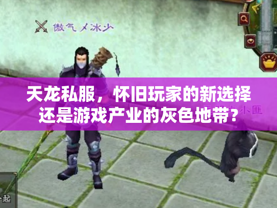 天龙私服，怀旧玩家的新选择还是游戏产业的灰色地带？