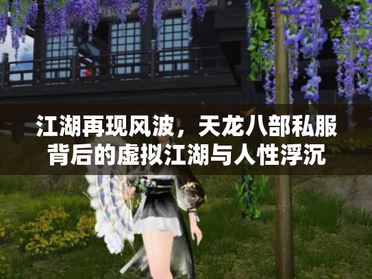 江湖再现风波，天龙八部私服背后的虚拟江湖与人性浮沉
