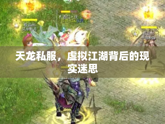 天龙私服，虚拟江湖背后的现实迷思