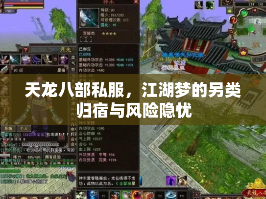 天龙八部私服，江湖梦的另类归宿与风险隐忧