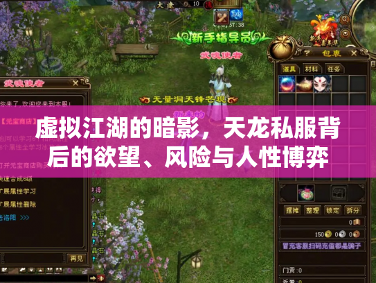虚拟江湖的暗影，天龙私服背后的欲望、风险与人性博弈