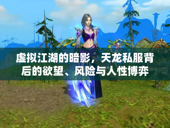 虚拟江湖的暗影，天龙私服背后的欲望、风险与人性博弈