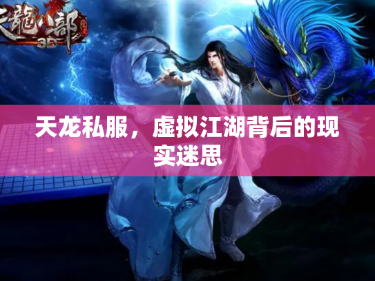 天龙私服，虚拟江湖背后的现实迷思