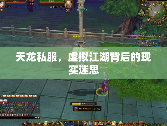 天龙私服，虚拟江湖背后的现实迷思