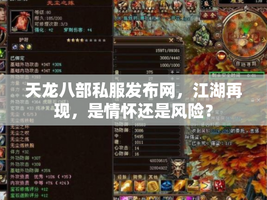 天龙八部私服发布网，江湖再现，是情怀还是风险？