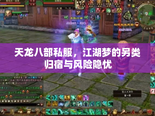 天龙八部私服，江湖梦的另类归宿与风险隐忧