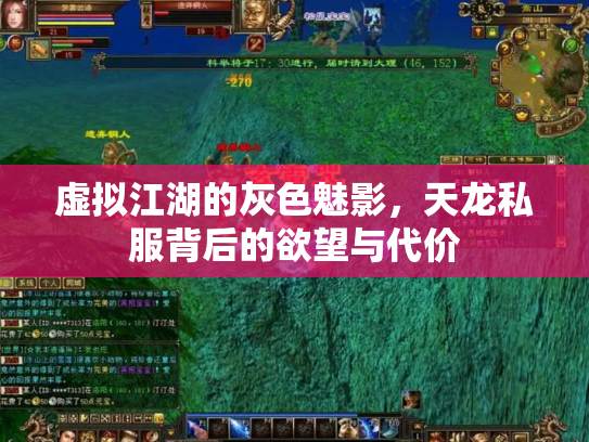 虚拟江湖的灰色魅影，天龙私服背后的欲望与代价