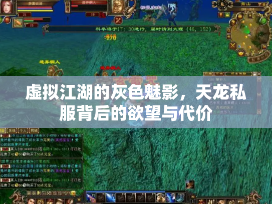 虚拟江湖的灰色魅影，天龙私服背后的欲望与代价