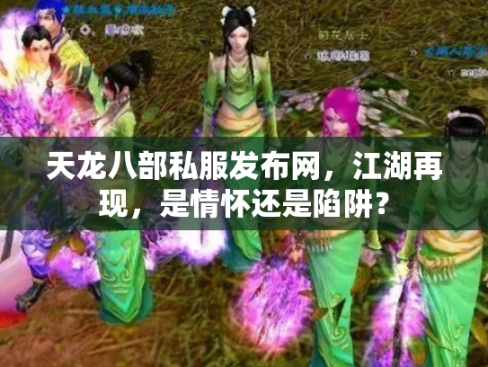 天龙八部私服发布网，江湖再现，是情怀还是陷阱？