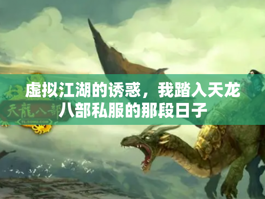 虚拟江湖的诱惑，我踏入天龙八部私服的那段日子