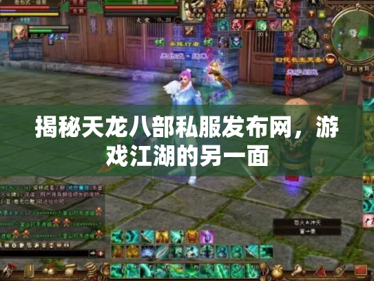 揭秘天龙八部私服发布网，游戏江湖的另一面