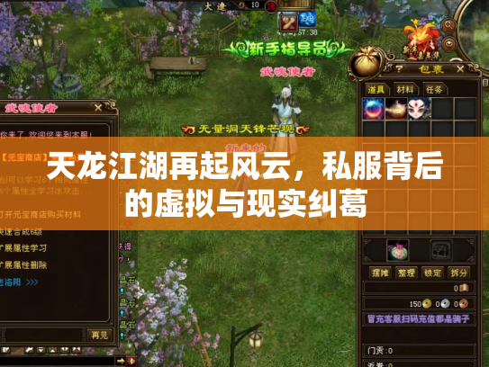 天龙江湖再起风云，私服背后的虚拟与现实纠葛