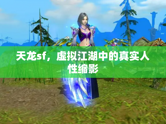 天龙sf，虚拟江湖中的真实人性缩影